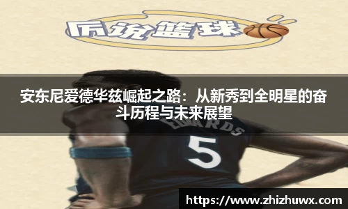 球速体育平台登录入口